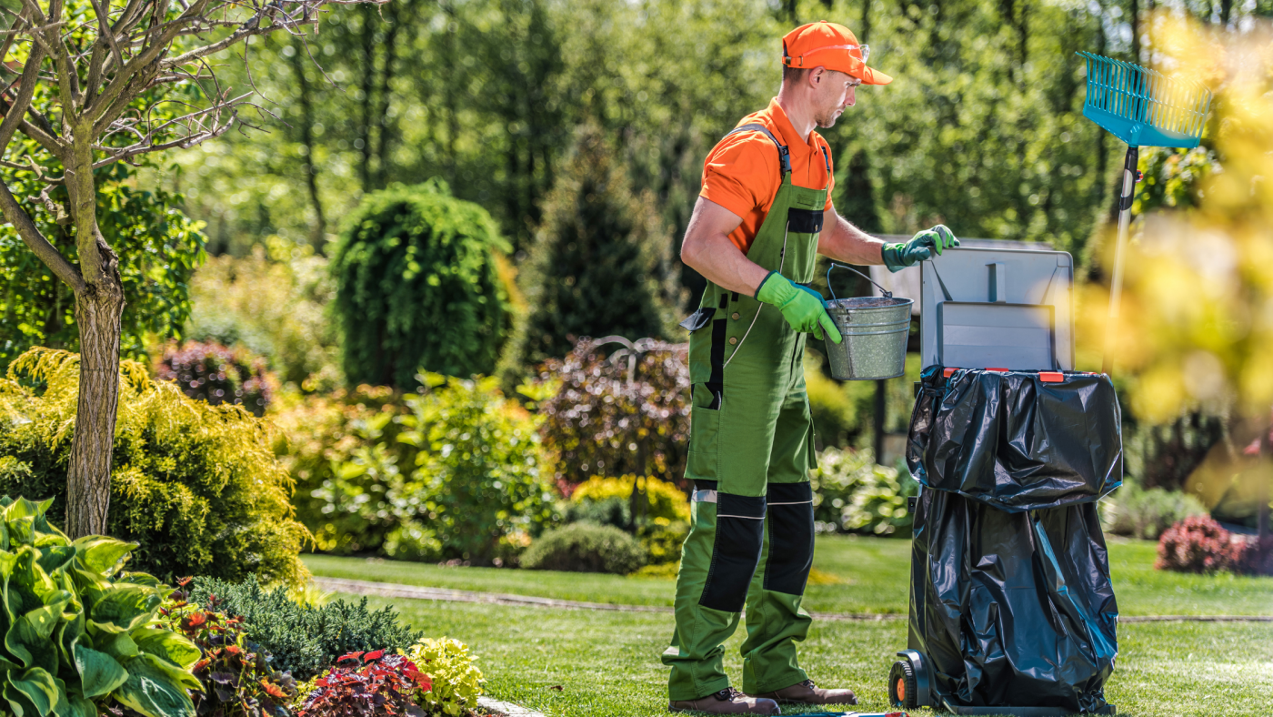 Greenery care from Qivzex