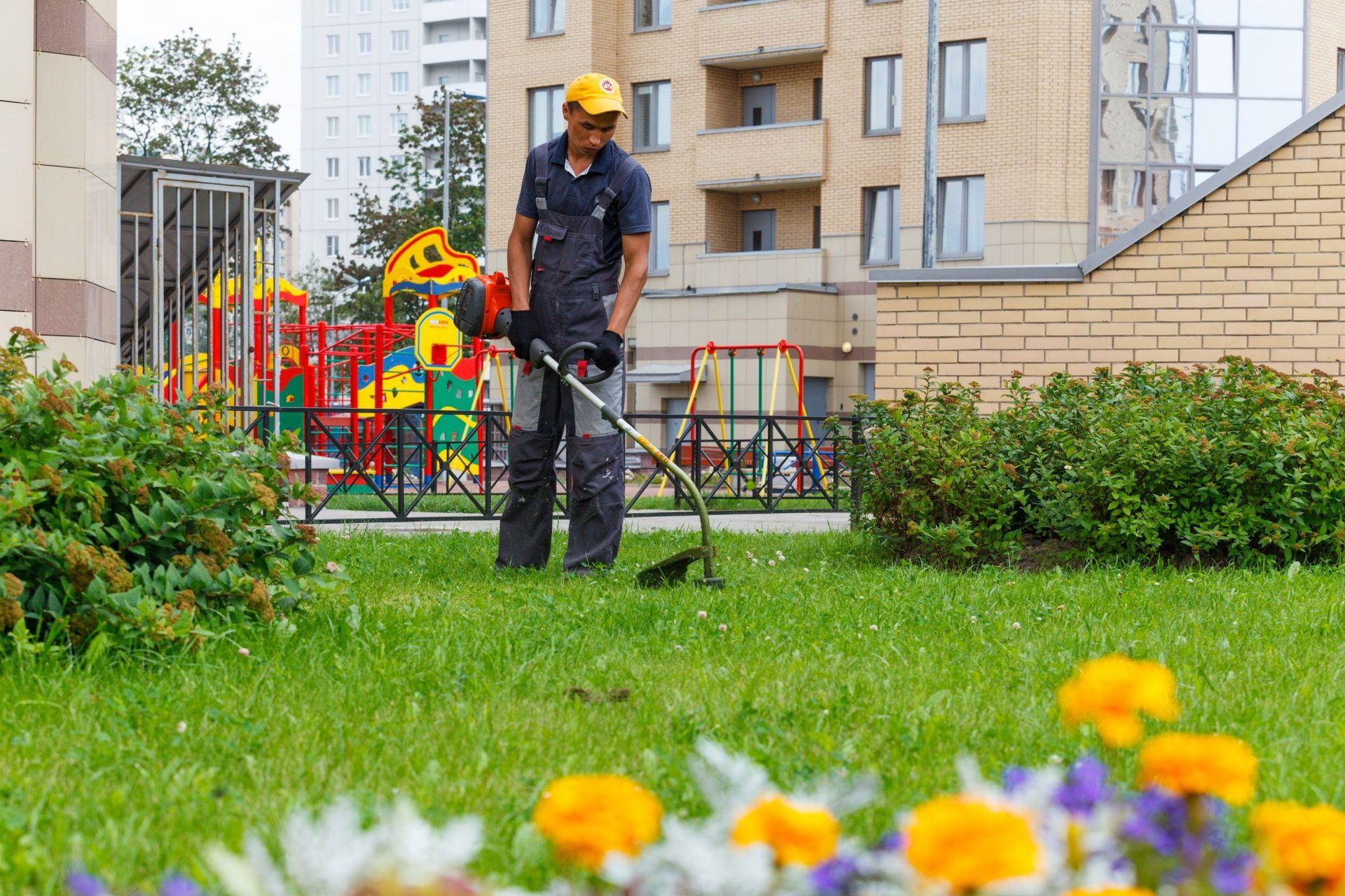 Qivzex Territory Cleaning Service: Cleanliness and Order